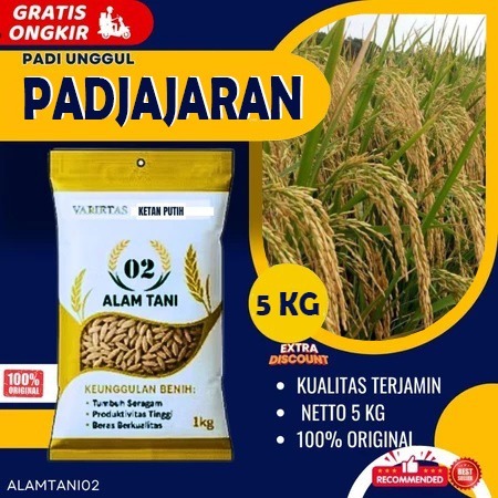 benih padi bibit padi pajajaran kemasan 5 kg