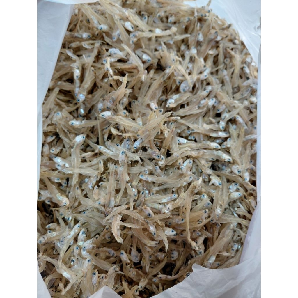 

Teri Cemek -Teri Kecil Tawar 250Grm Kering Gurih Lezat Banyak Manfaat