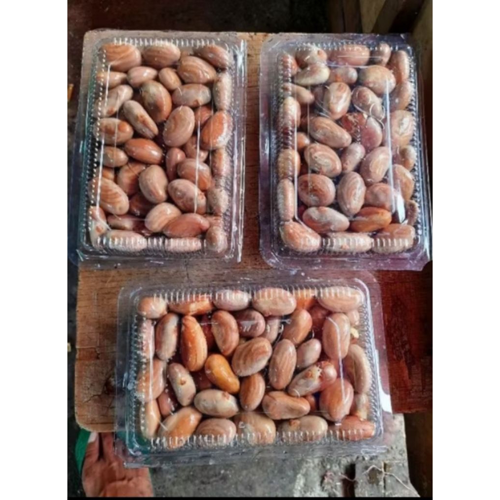 

Biji nangka / beton nangka fresh /500 gram
