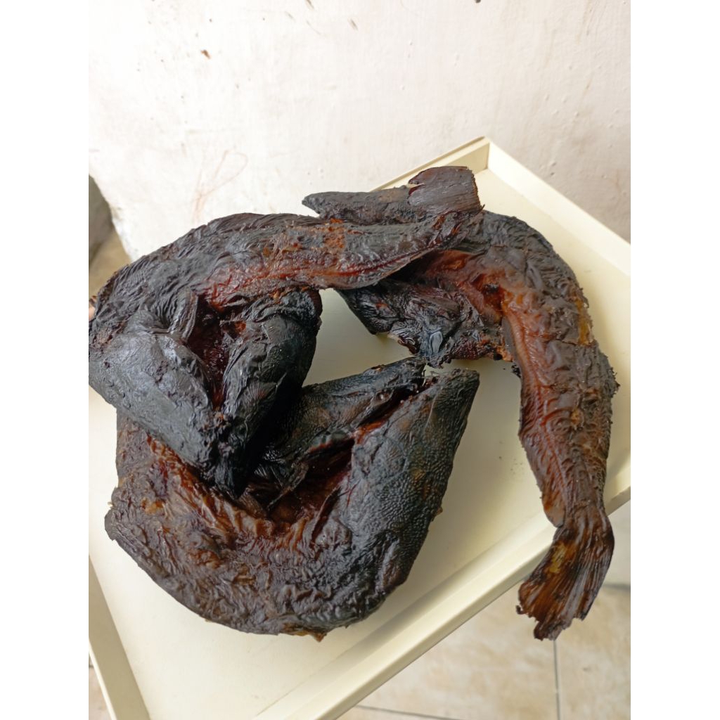 

ikn sale/ikan lele 100g