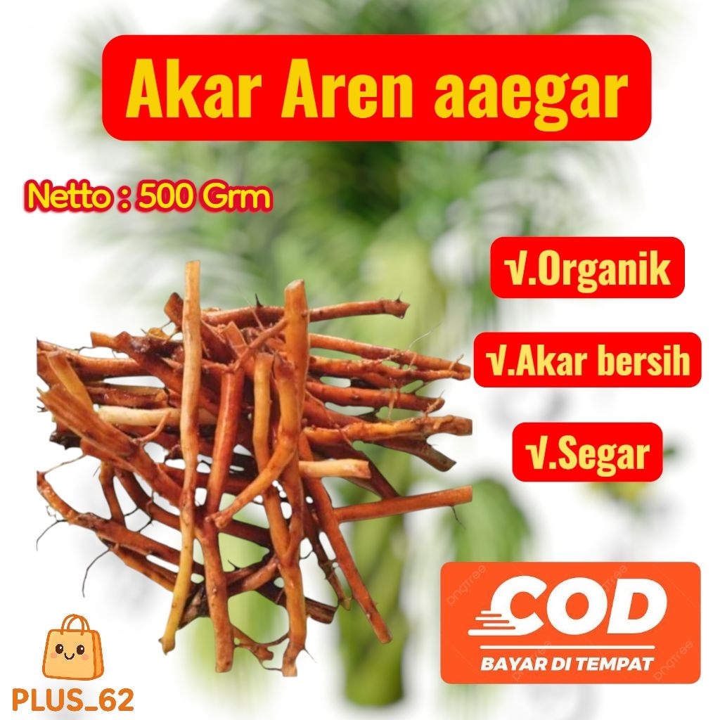 

Akar Aren Segar - Akar Pohon Aren Siap Kirim 500 Gr