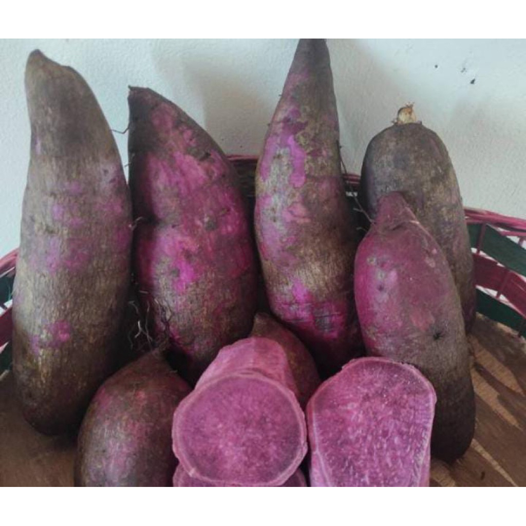 

ubi ungu murasaki per1kg