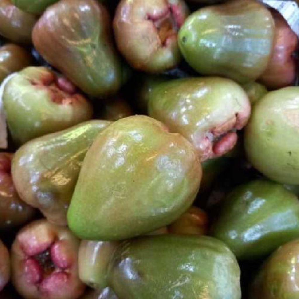 

BUAH JAMBU CINCALO HIJAU FRESH