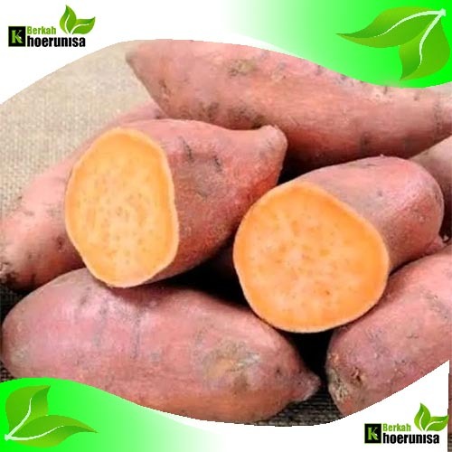 Umbi Ubi Jalar Orange Mentah Segar 1 kg masih fresh