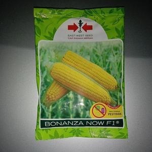 

PROMO 2PCS !!! Benih Jagung Manis Bonanza Now F1 1800 Butir ORIGINAL asli kemasan pabrik