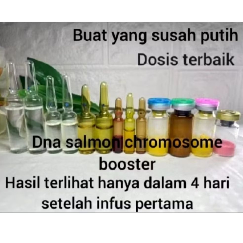 DNA salmon chromosome booster