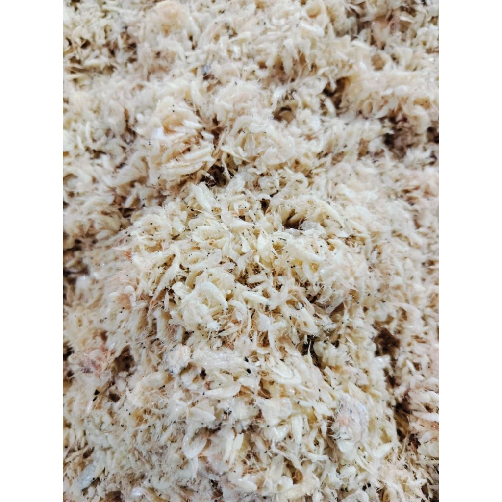 

Udang Rebon ♛ Udang Ragu