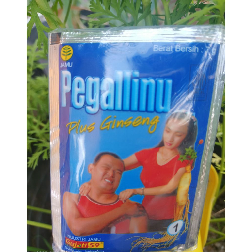 

Jamu serbuk Pegal linu plus gingseng gujati isi 10 sachet