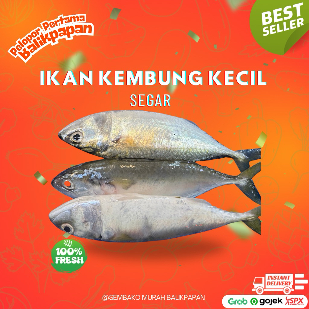 

ikan kembung KECIL 1kg