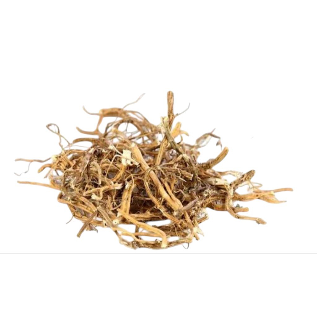 

Akar Jelatang Kering 100 Gram / Akar Daun Jelatang