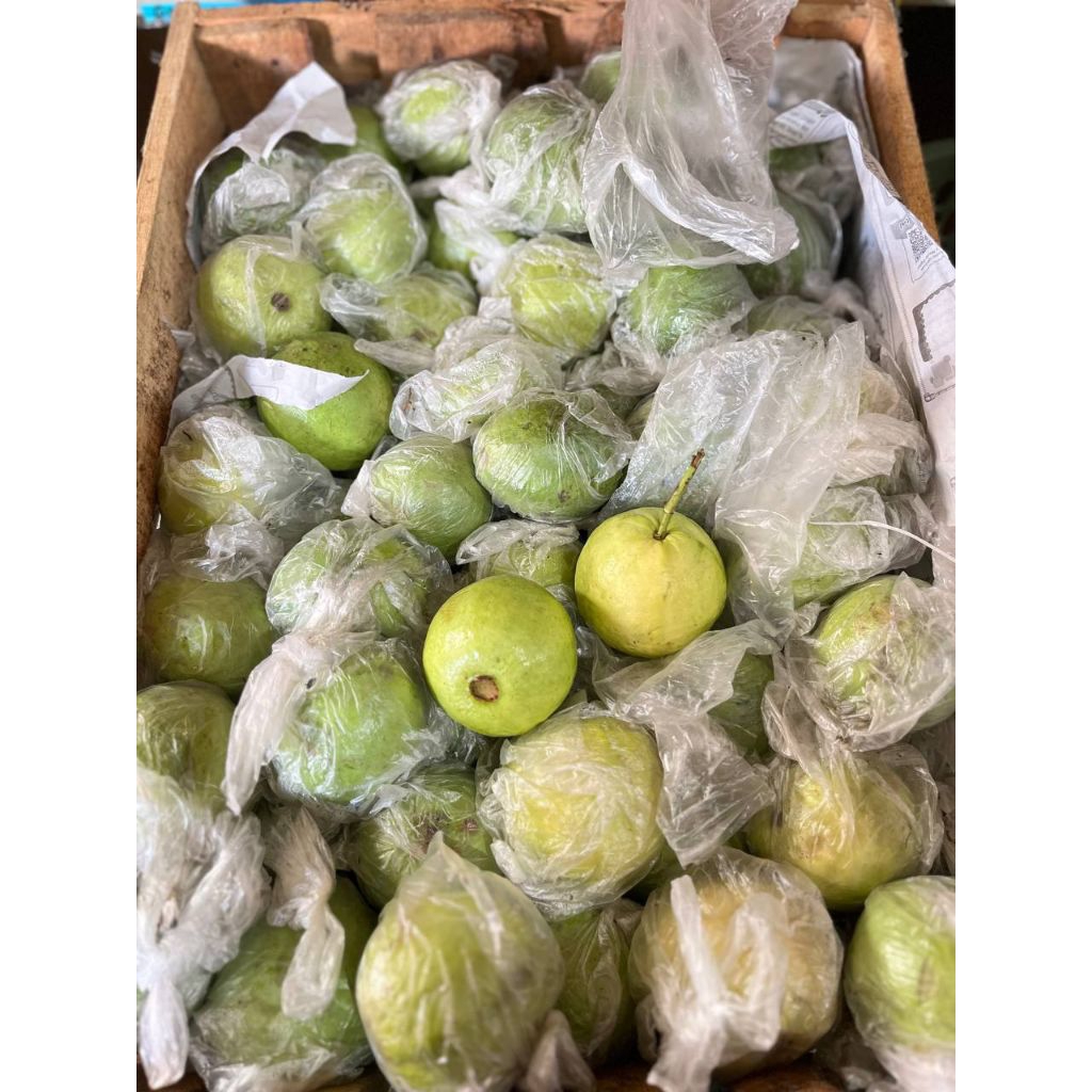 jambu merah jambu jus