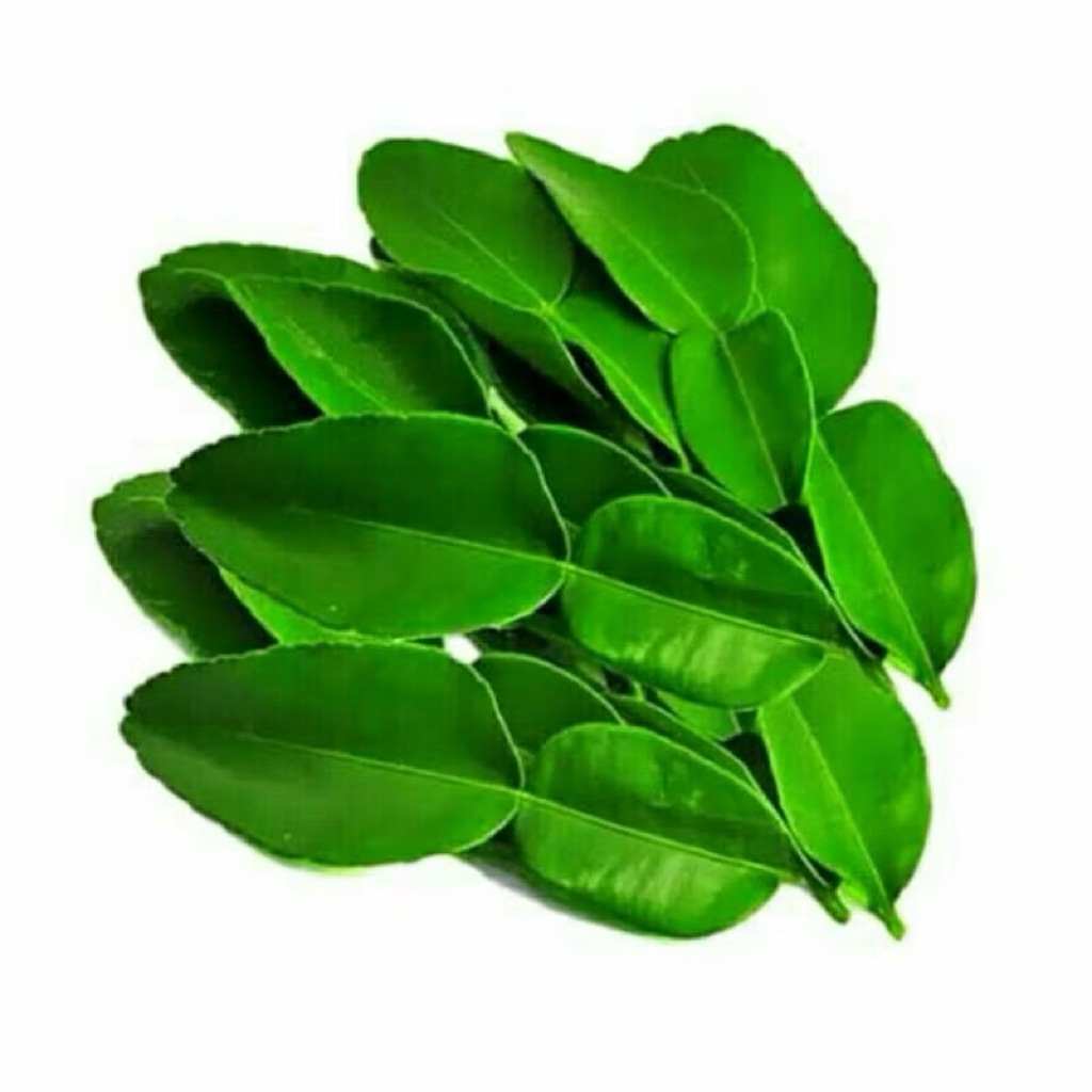 

Daun Jeruk Organik 10g Fresh baru petik