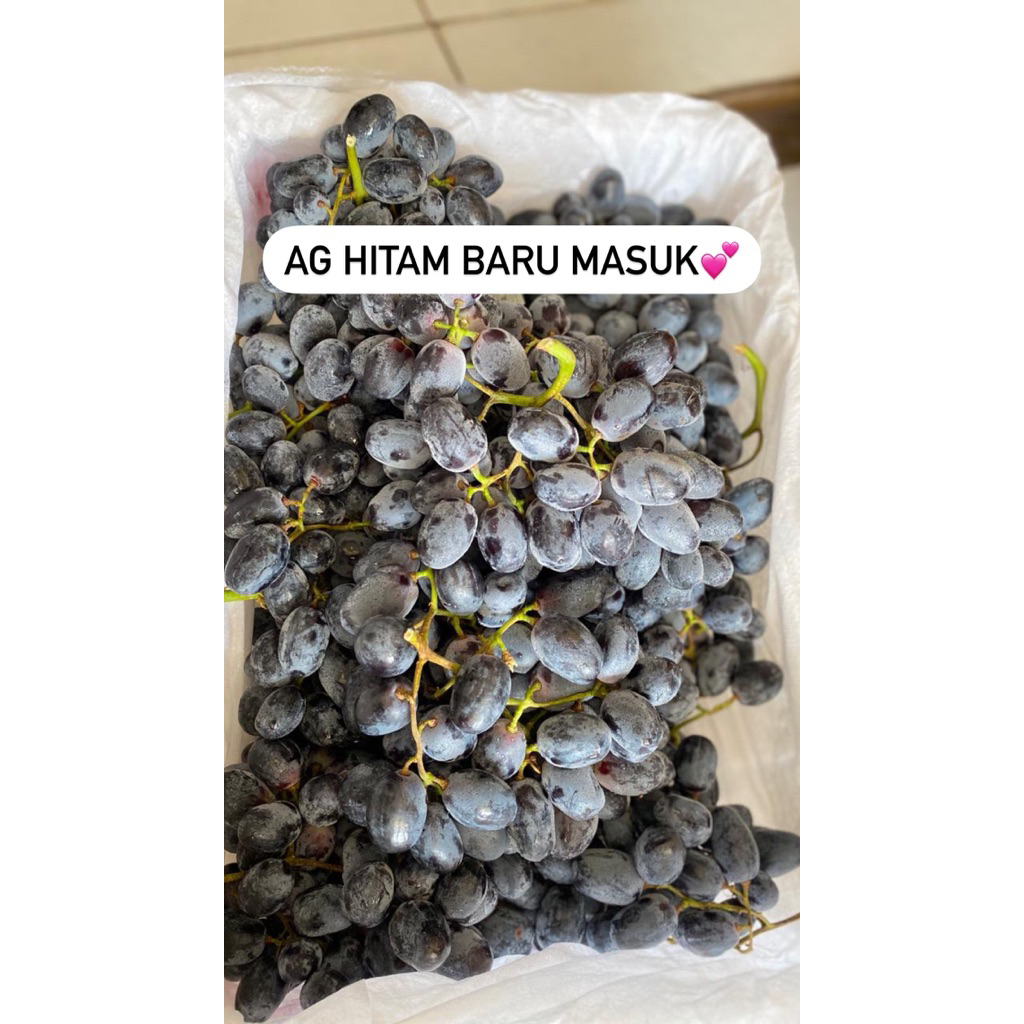

anggur hitam