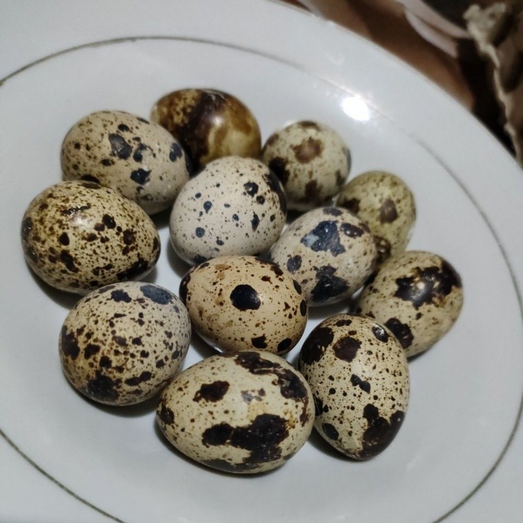 

telur puyuh per butir