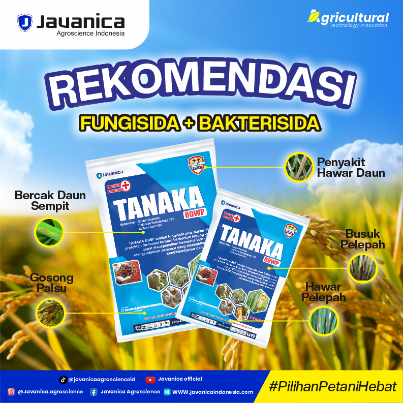 Fungisida & Bakterisida TANAKA 80WP