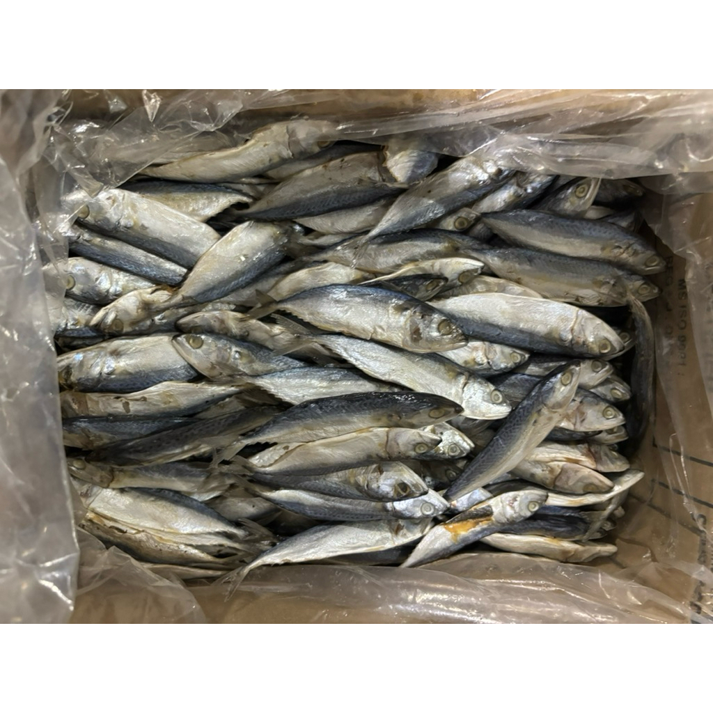 

IKAN ASIN PEDA PUTIH/KEMBUNG BANYAR 500GR