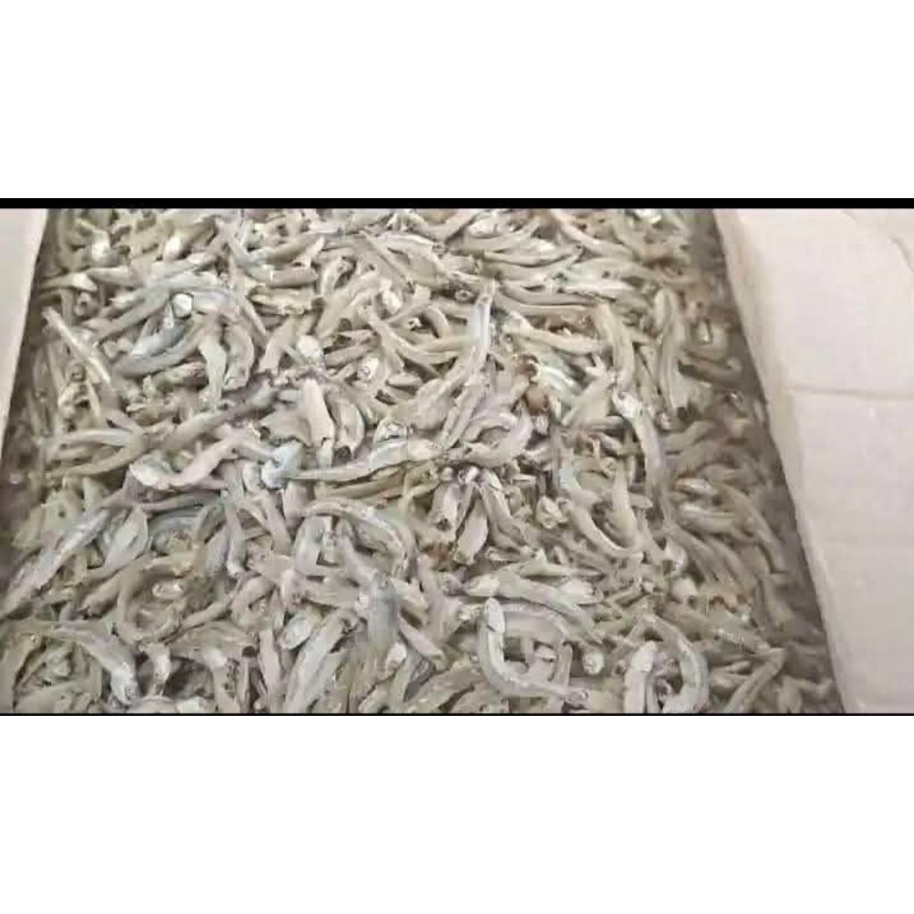 

Ikan teri Rebus 500 gr