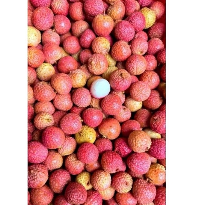 

leci madu 500gr/leci merah 500gr