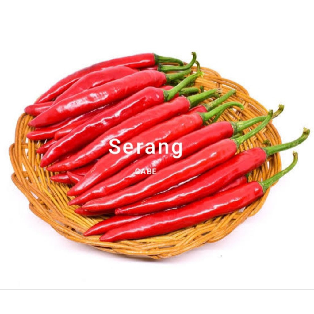

Cabe Merah Besar 1kg / Fresh Dari Petani Langsung