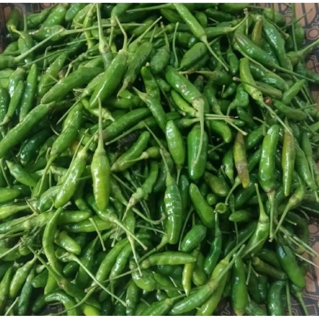 

Cabe Rawit Pedas Hijau 100 gram / 1 ons