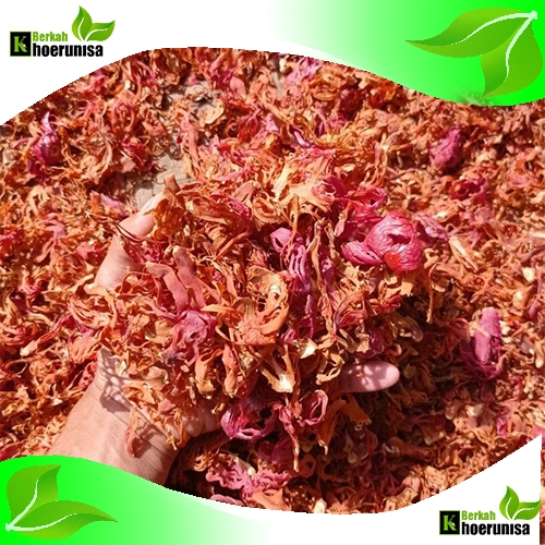 

Bunga Pala Sempra fuli kering 100 gram rempah dan herbal
