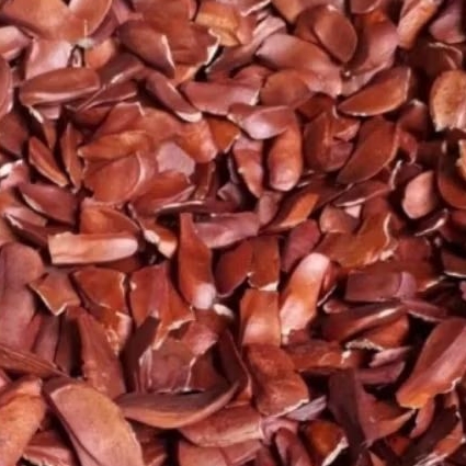 

Buah Mahoni /Biji mahoni 500 gram