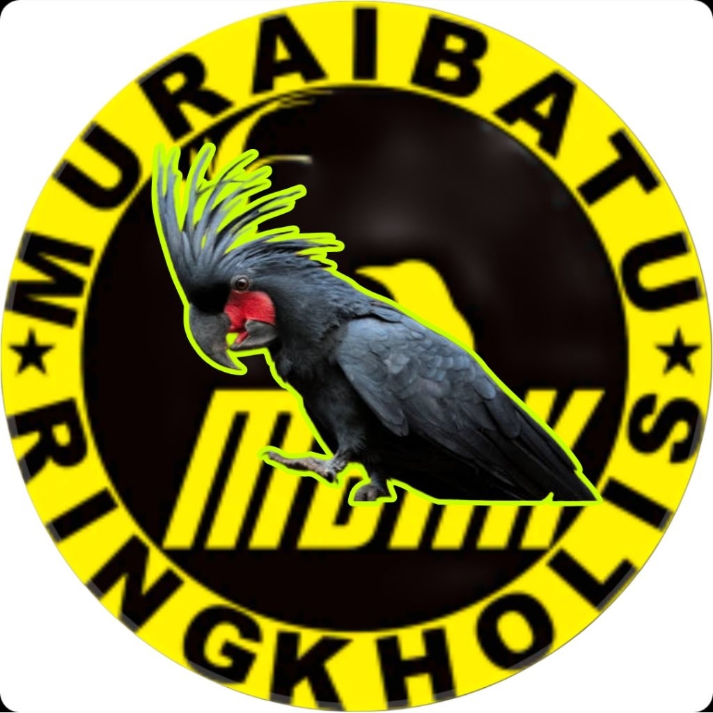 

telur fertil kakatua Raja jaminan menetas