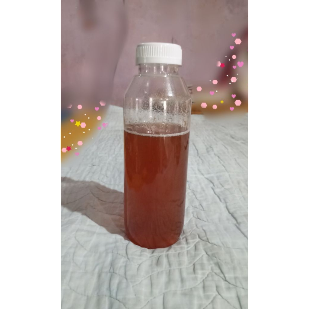 

madu asli dari hutan liar, 500 gram