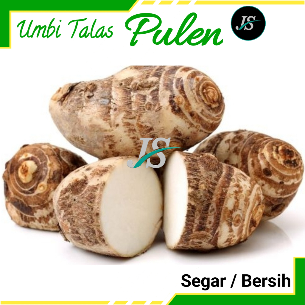 

Umbi Talas Pulen 1kg / Sudah Bersih / Talas Pulen / Segar
