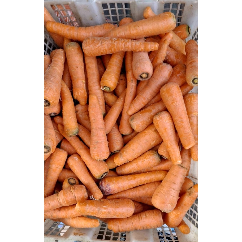 

Wortel 250 gram/ 500 gram / 1 kg