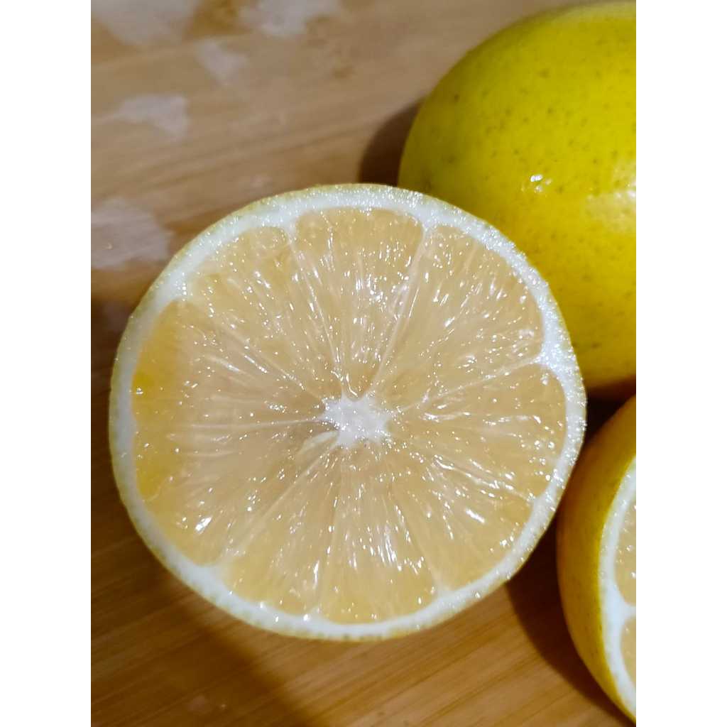 

Lemon Premium Kulit Tipis Banyak Air 1 kg (Pre Order)