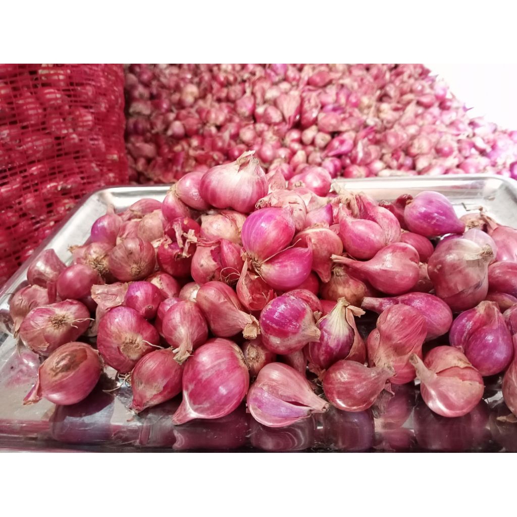 

Bawang Brebes Murah 250 Gram | Sedang Rata