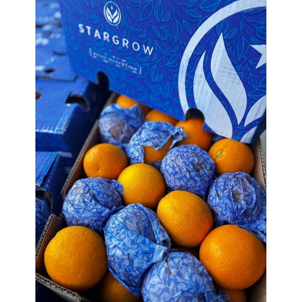 

Valencia Afrika 14 kg