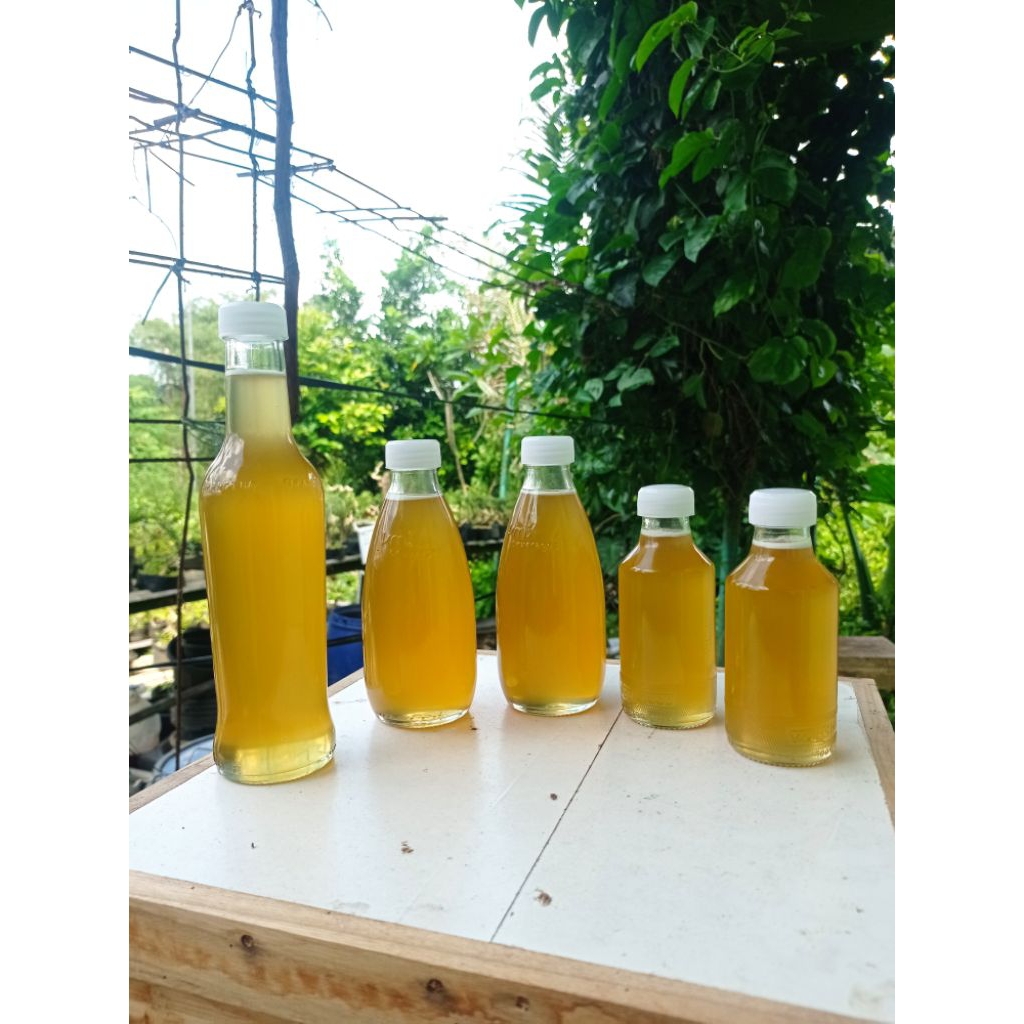 

Madu Nektar Bunga Kopi