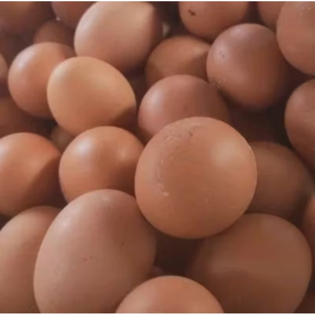 

Telur Ayam 5kg Fresh Bandung