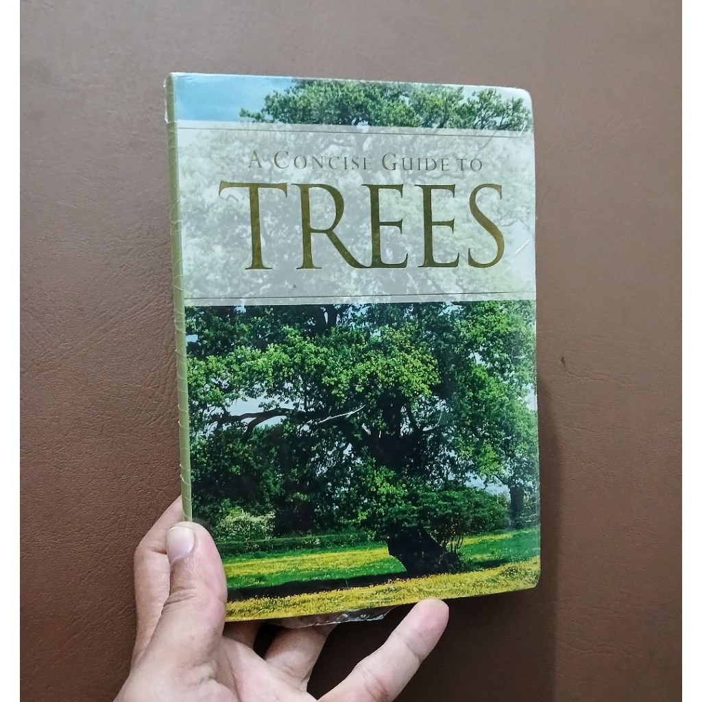 A Concise Guide to Trees