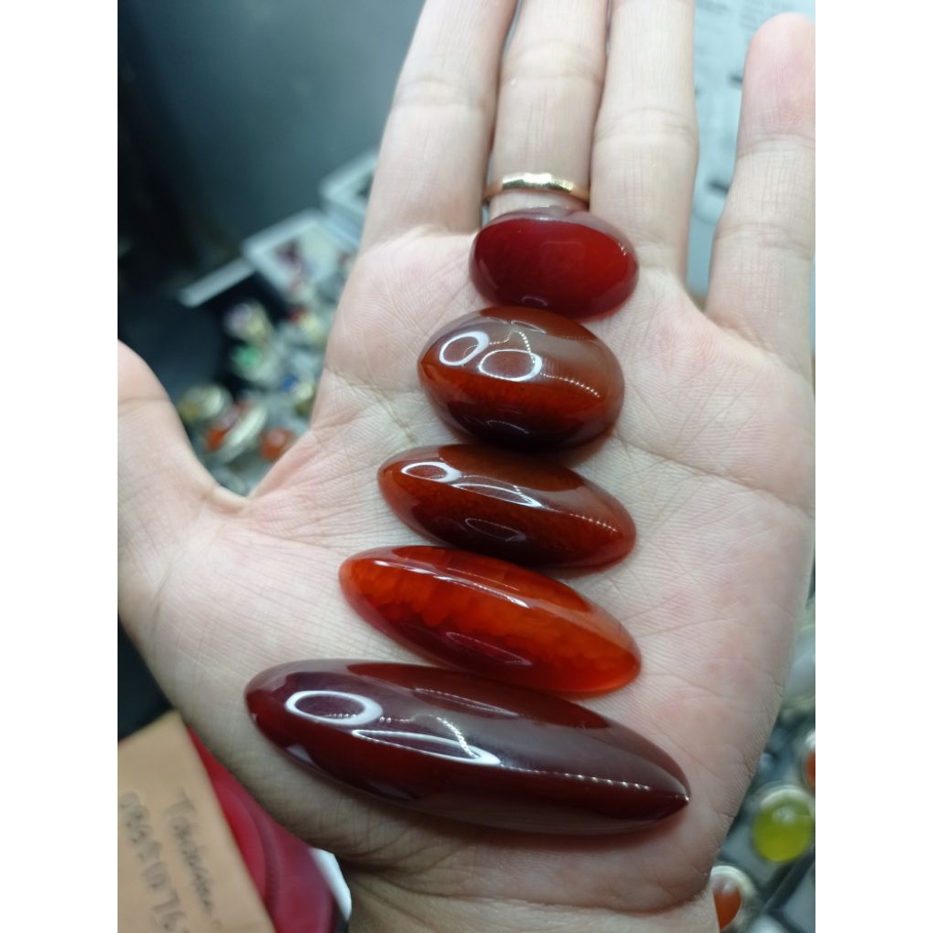 pandan merah jamblang/lostune
