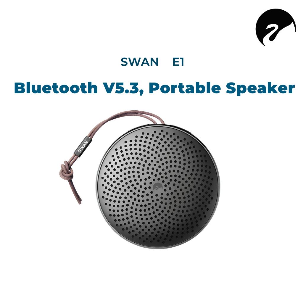 Swan HiVi E1 Bluetooth Speakers Portable - End Game 