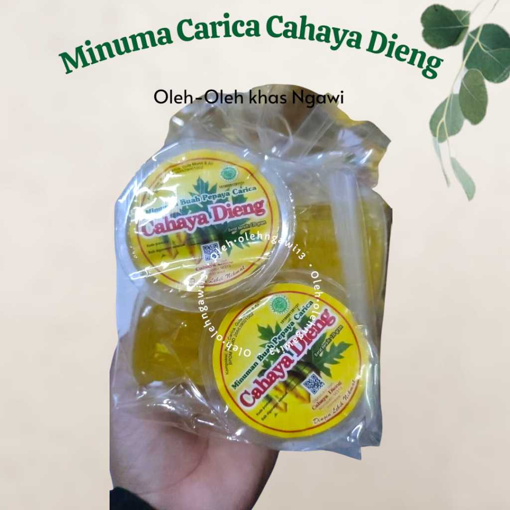 MINUMAN BUAH PEPAYA, CARICA CAHAYA DIENG, MINUMAN CARICA