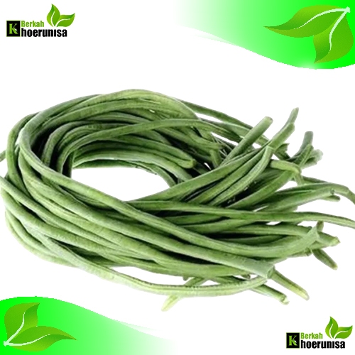 

Kacang Panjang Segar 500 gram Perikat