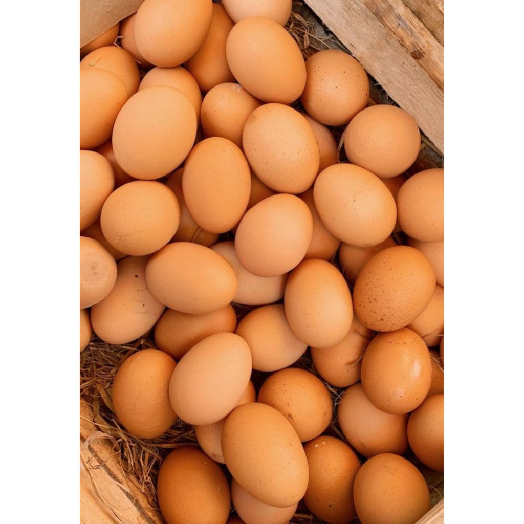 

Telur Ayam Negeri 1kg