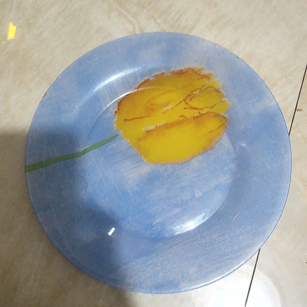 piring arcopal france