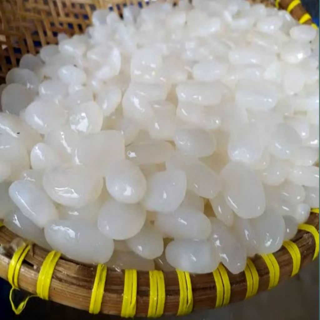 

Kolang kaling segar 1kg bersih 100% kenyal bahan manisan fresh cangkaleng