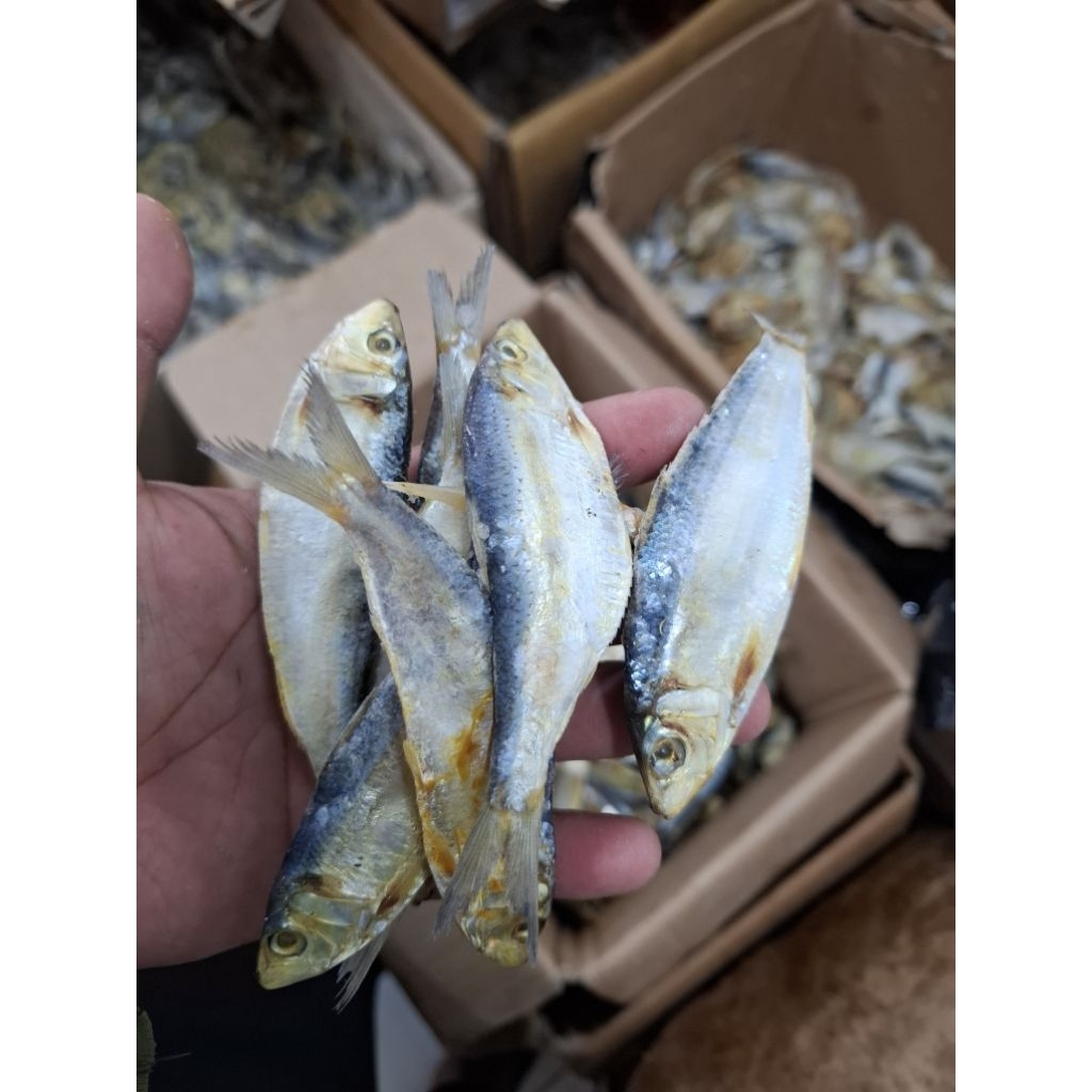 

ikan asin tembang super