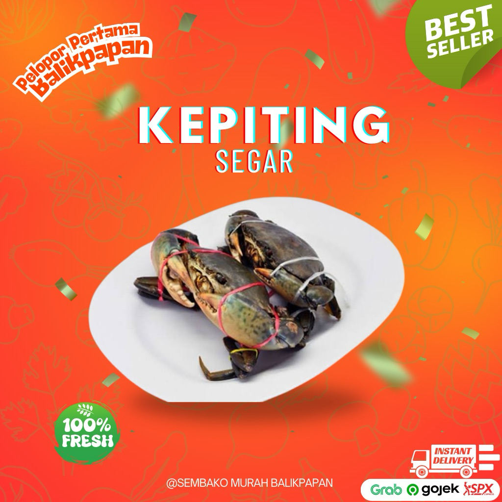 

kepiting hidup