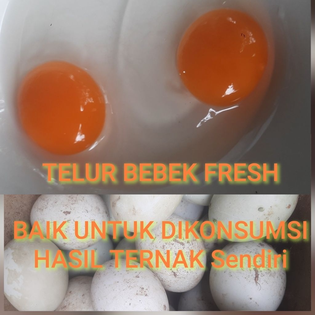 

TELUR BEBEK KONSUMSI