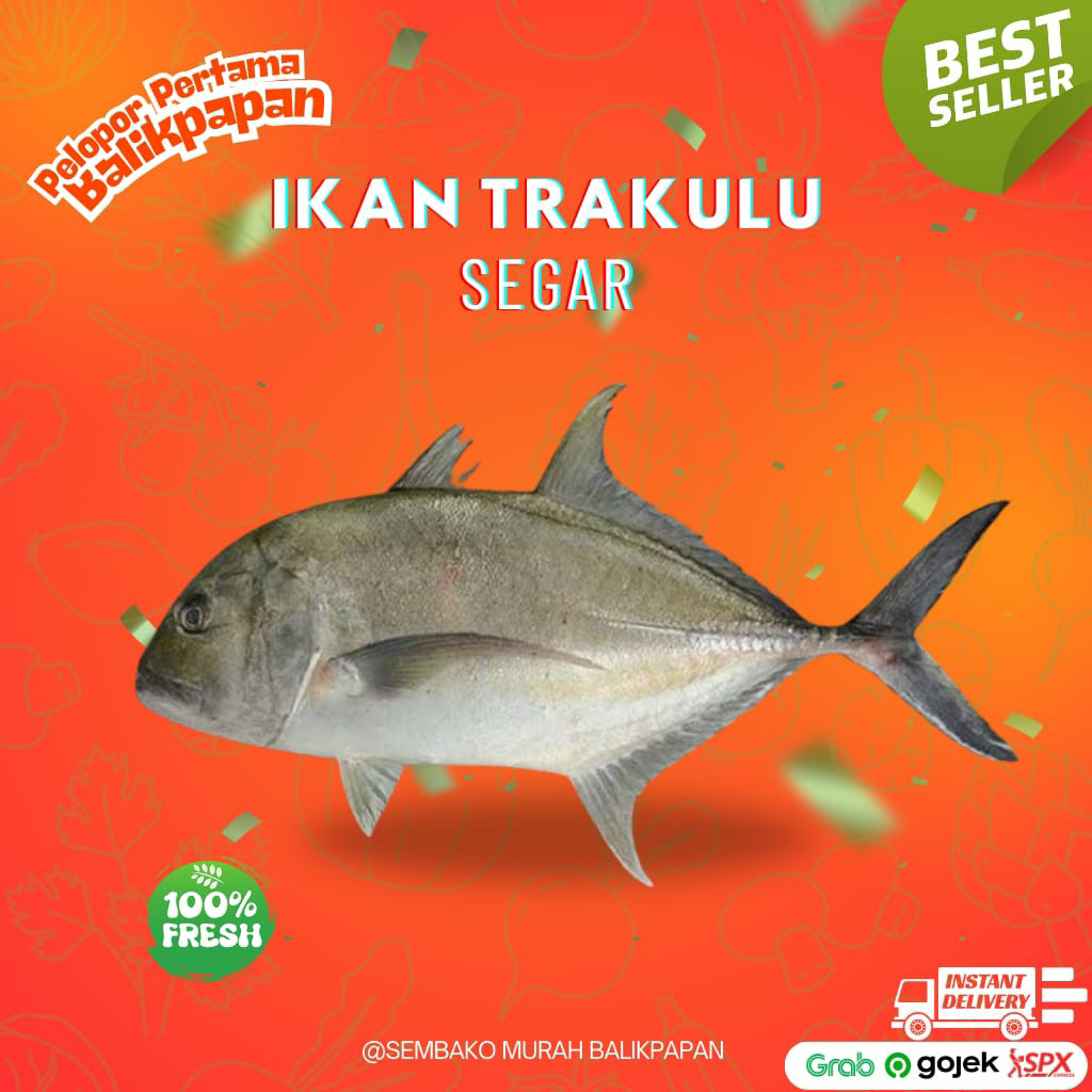 ikan trakulu 1 kg