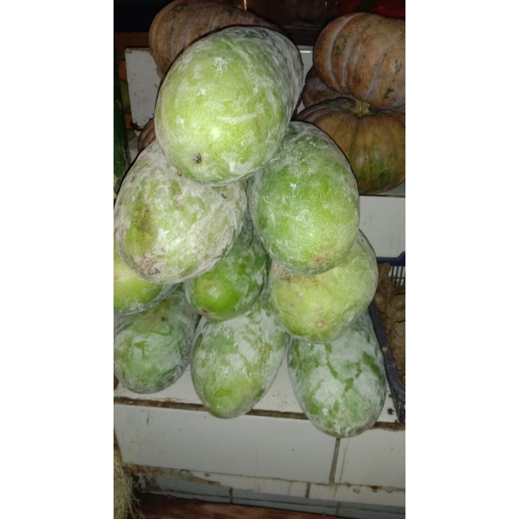 

buah beligo/ kundur