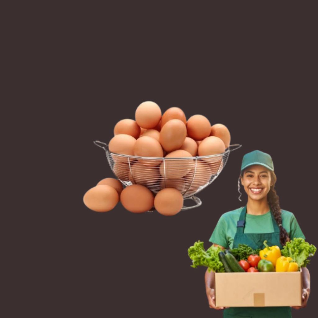 

TELUR AYAM NEGERI 1 BUTIR