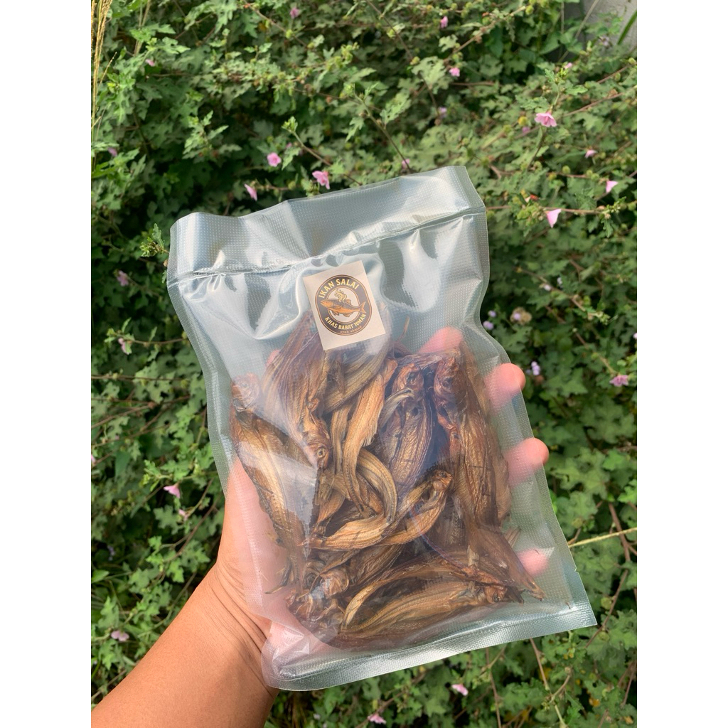 Salai Ikan Lais Premium